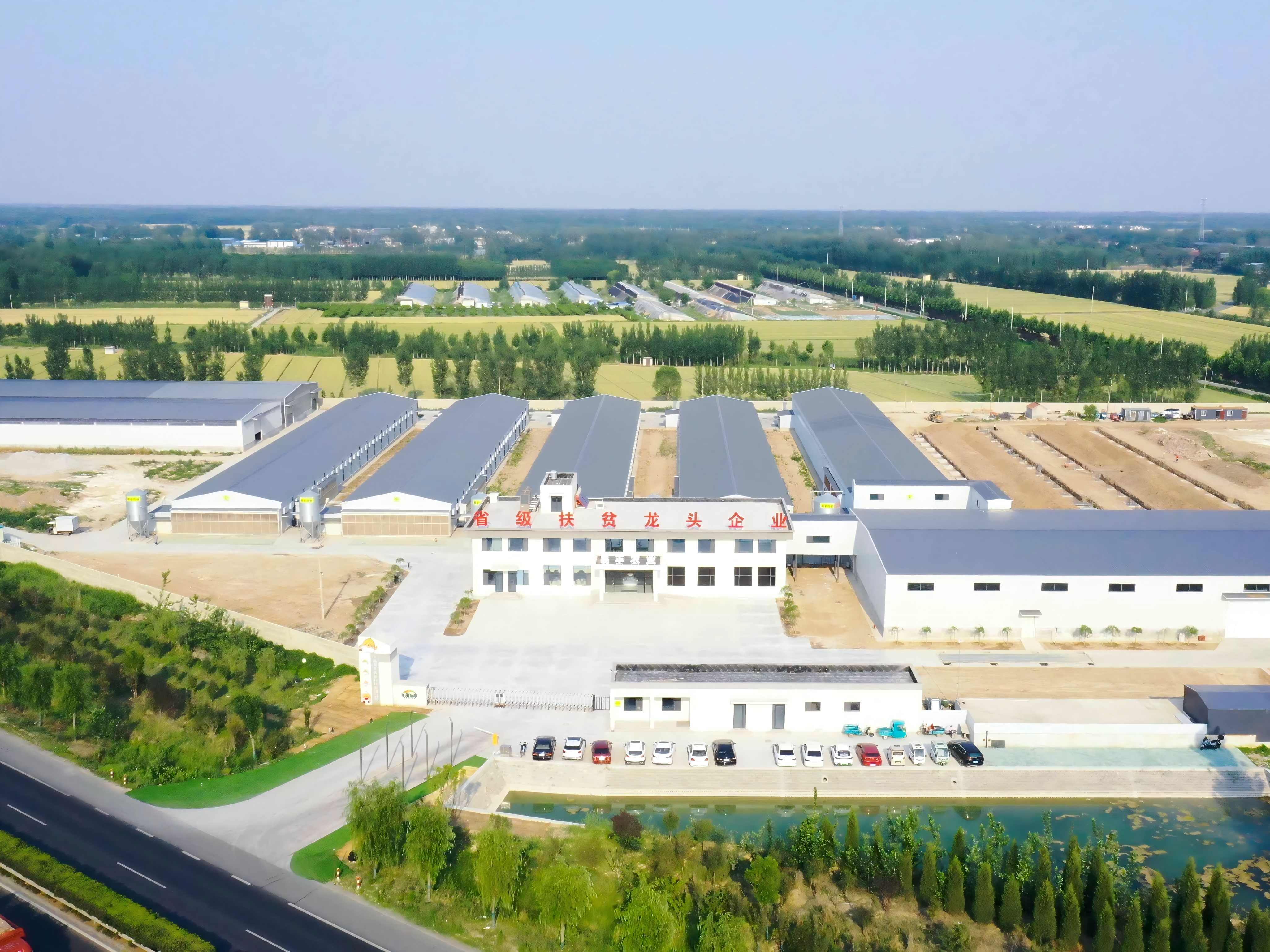 長田樂享超鮮蛋農(nóng)場